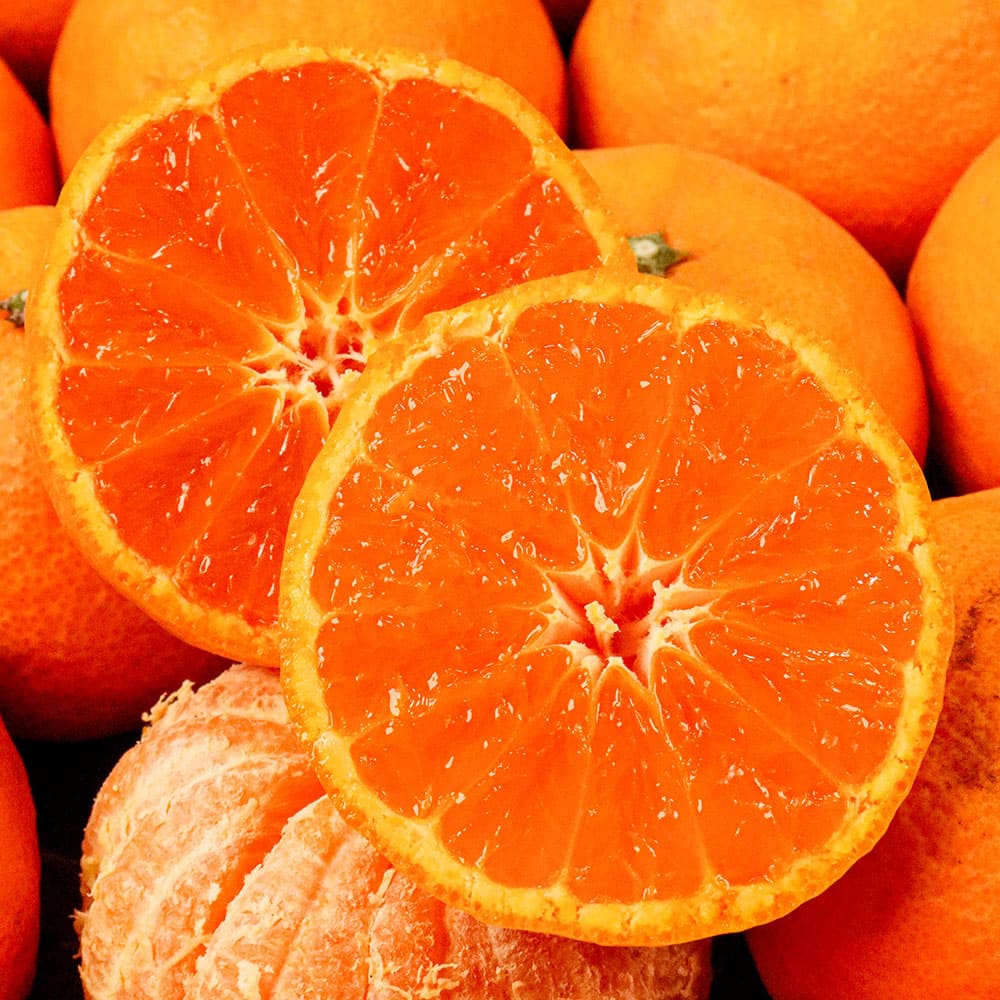 1744950723 thumbnail