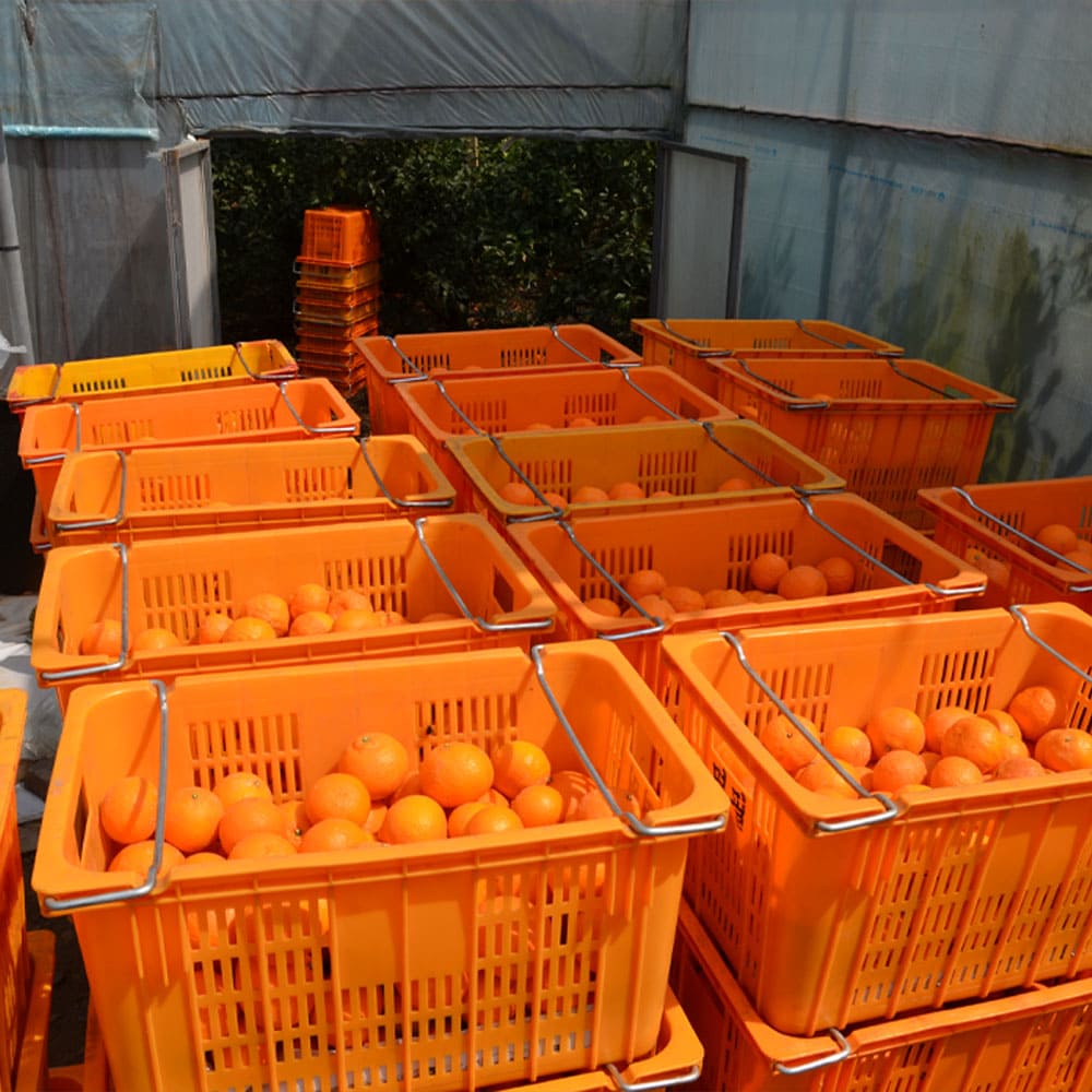 1744950724 thumbnail