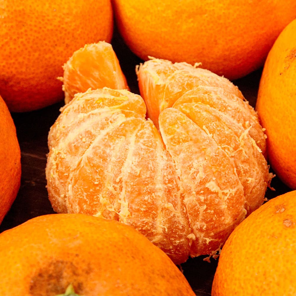 1744950725 thumbnail