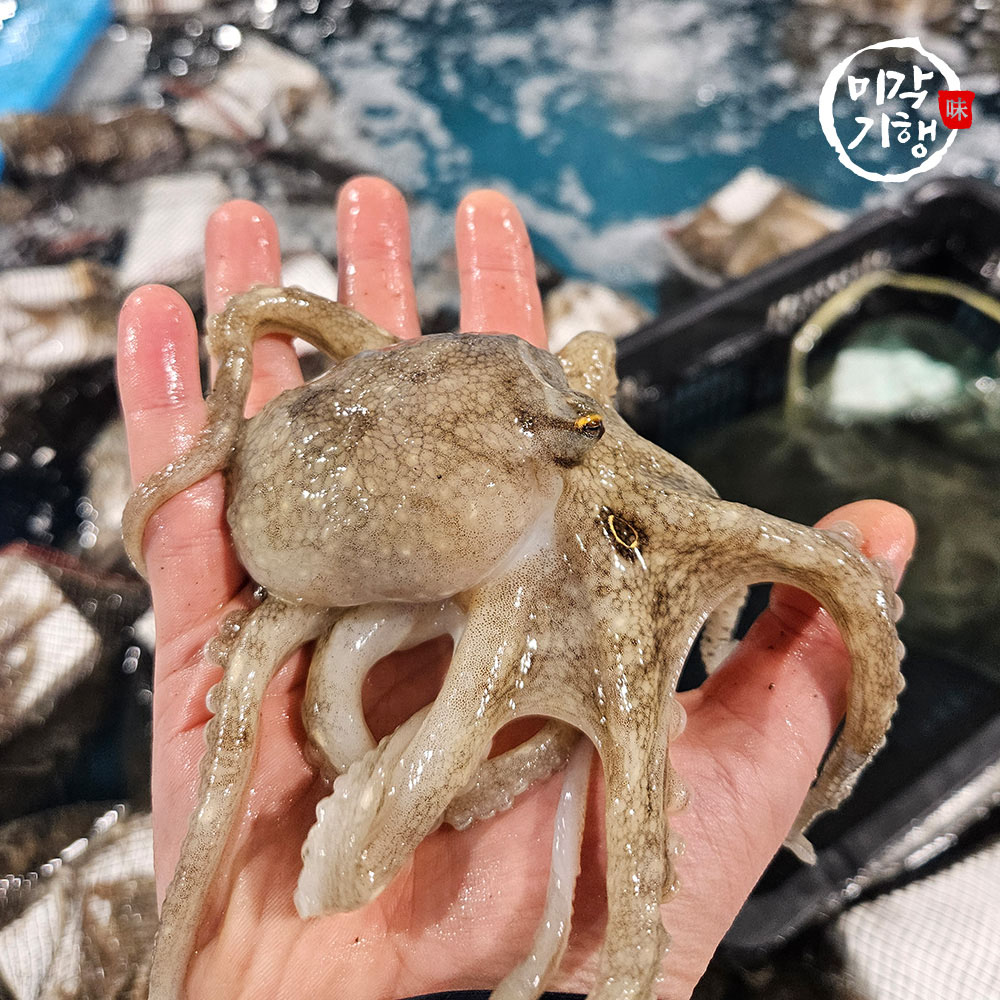 1744950753 thumbnail