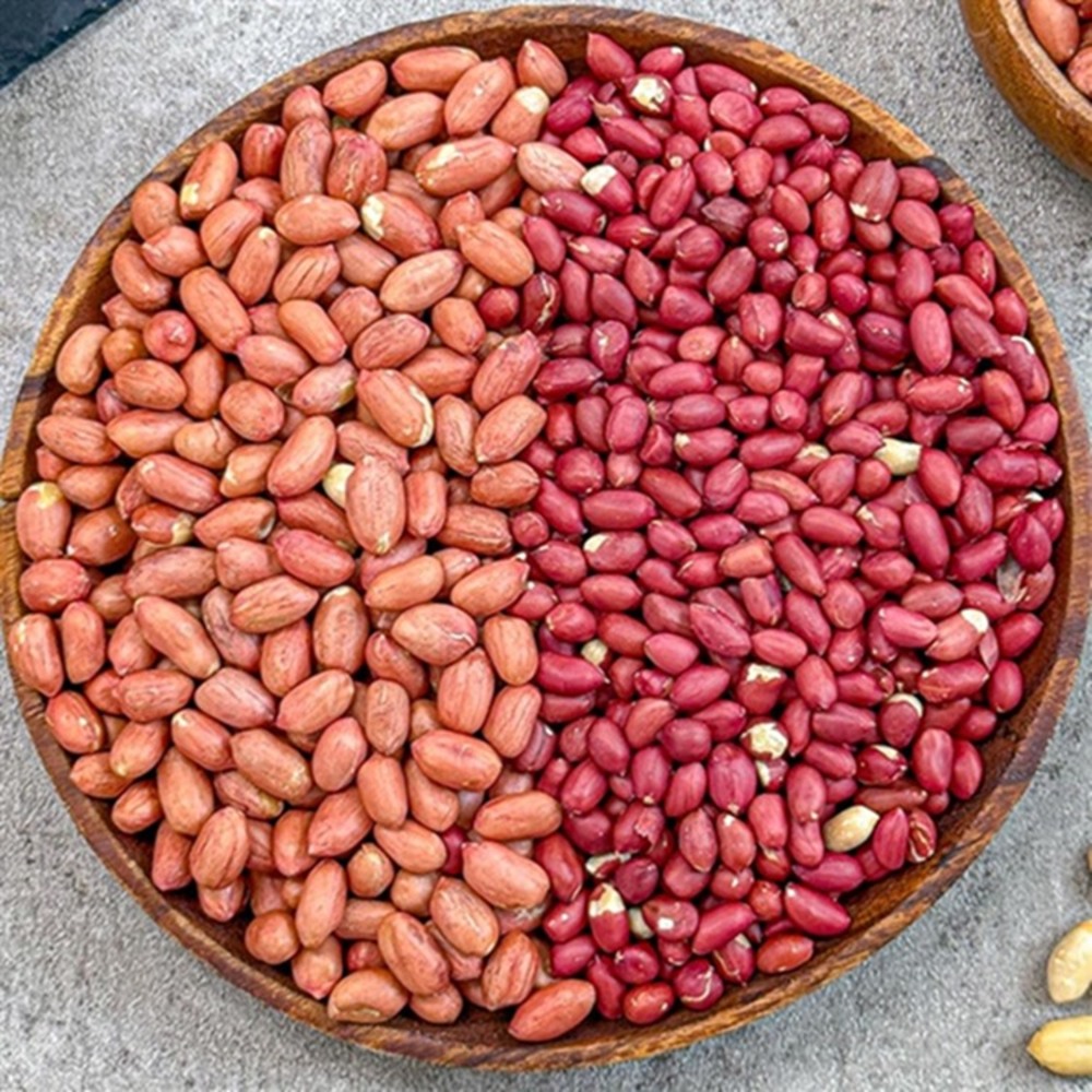 1744950769 thumbnail