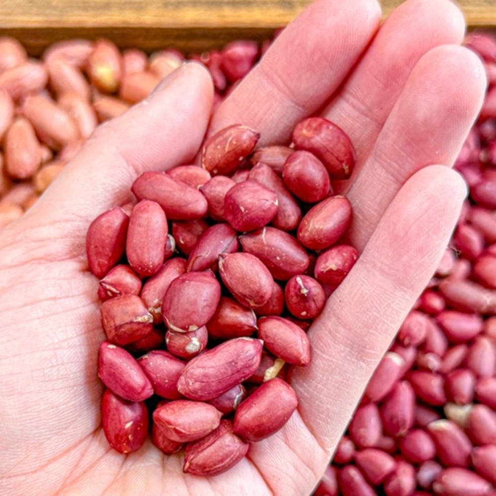 1744950770 thumbnail