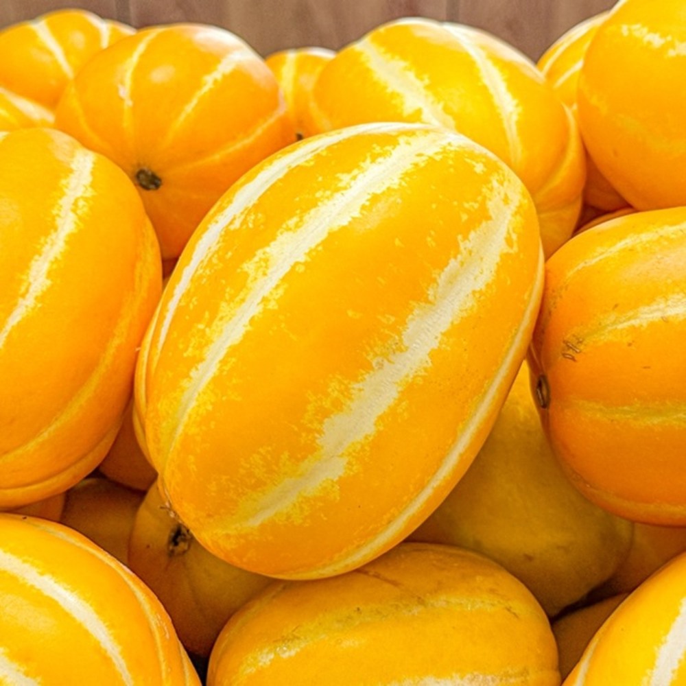 1744950772 thumbnail