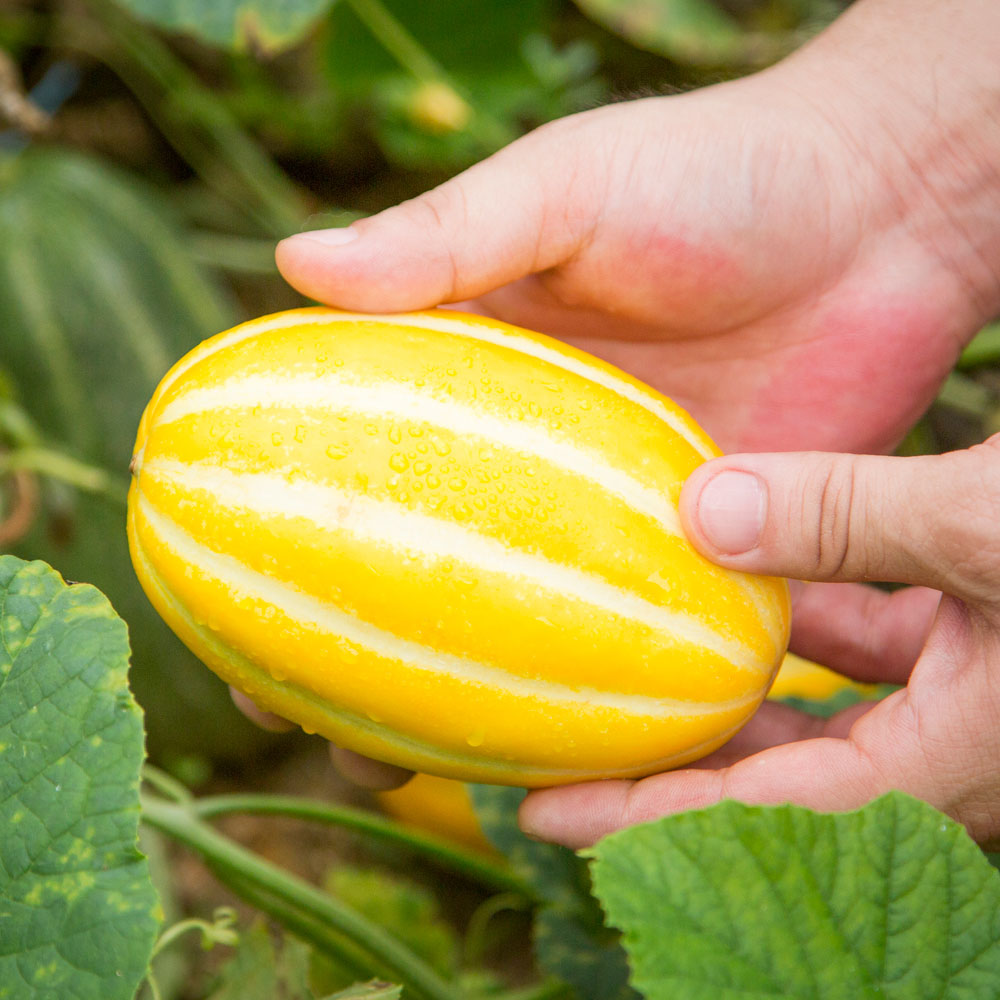 1745827894 thumbnail