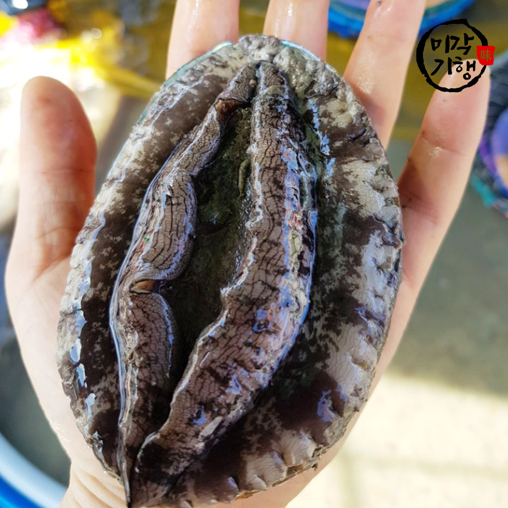 1745827928 thumbnail