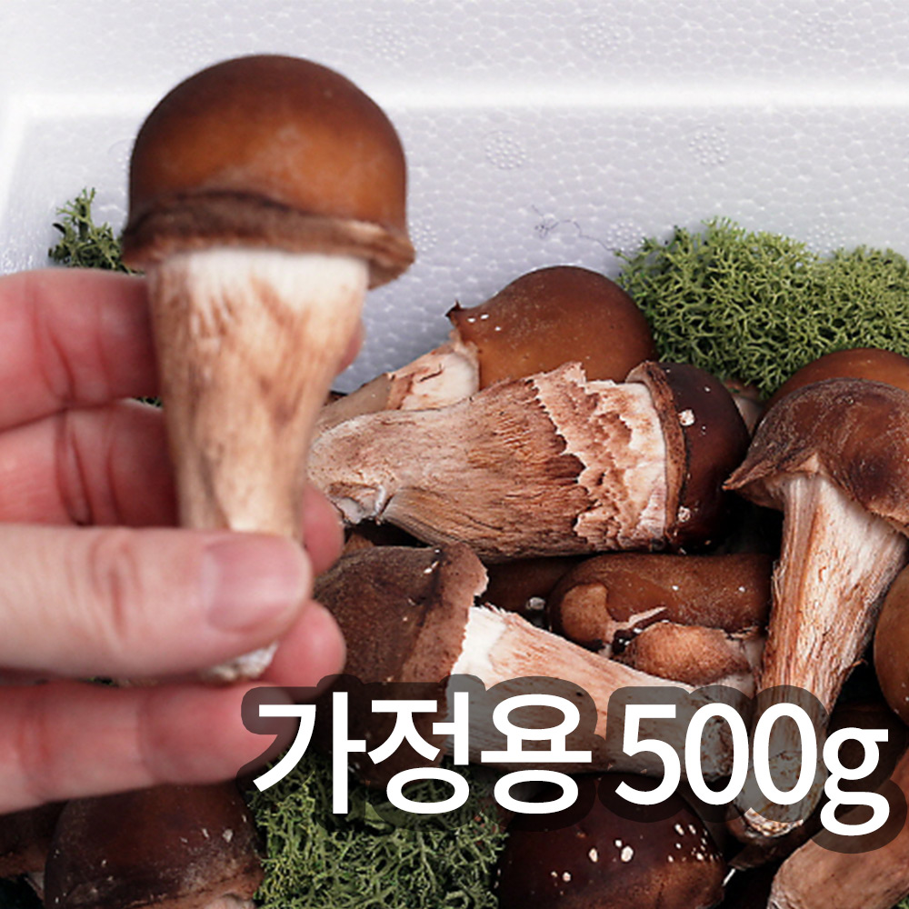 1745894687 thumbnail
