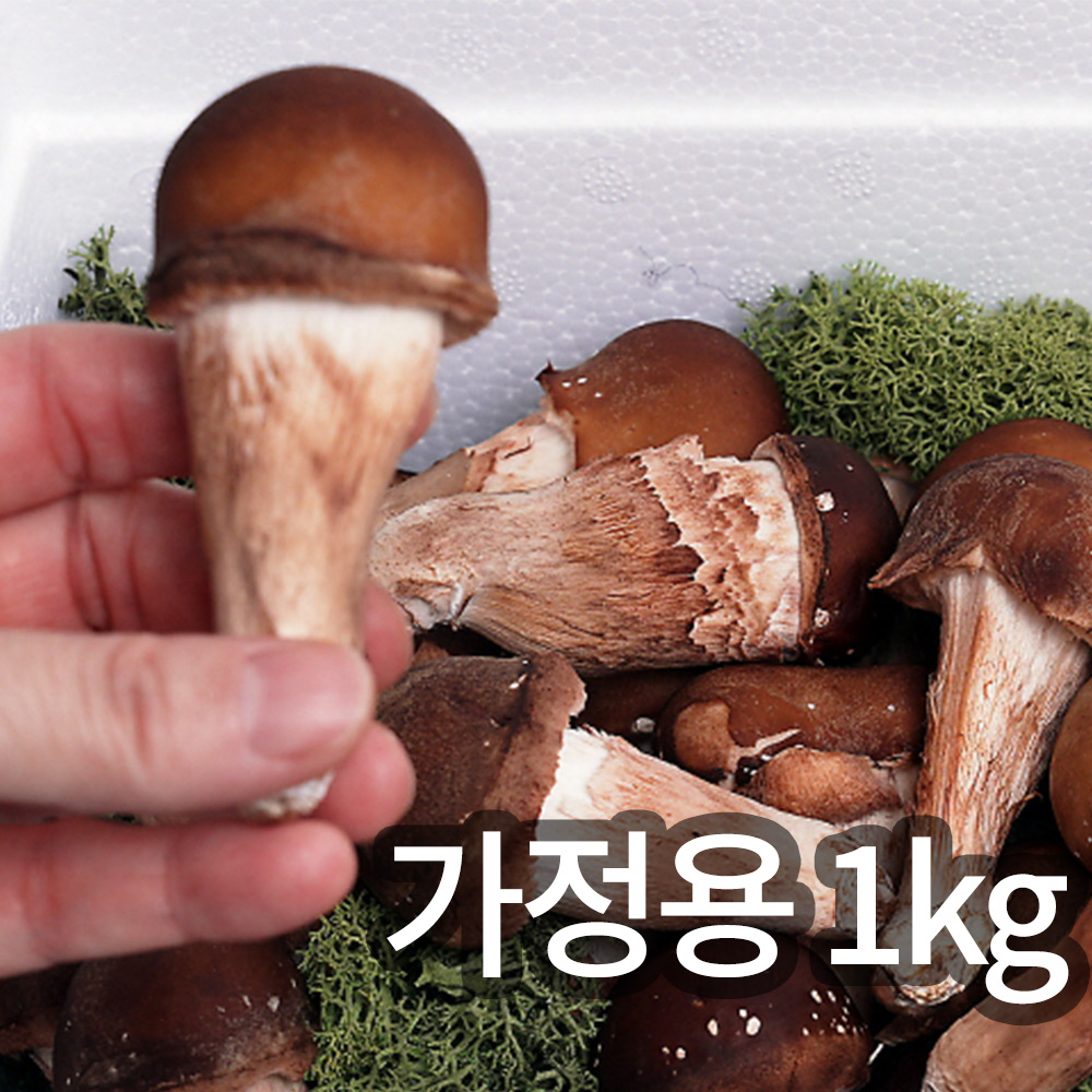 1745894688 thumbnail