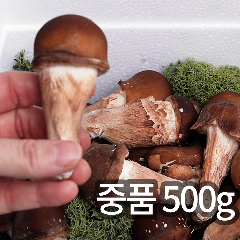 1745894689 thumbnail