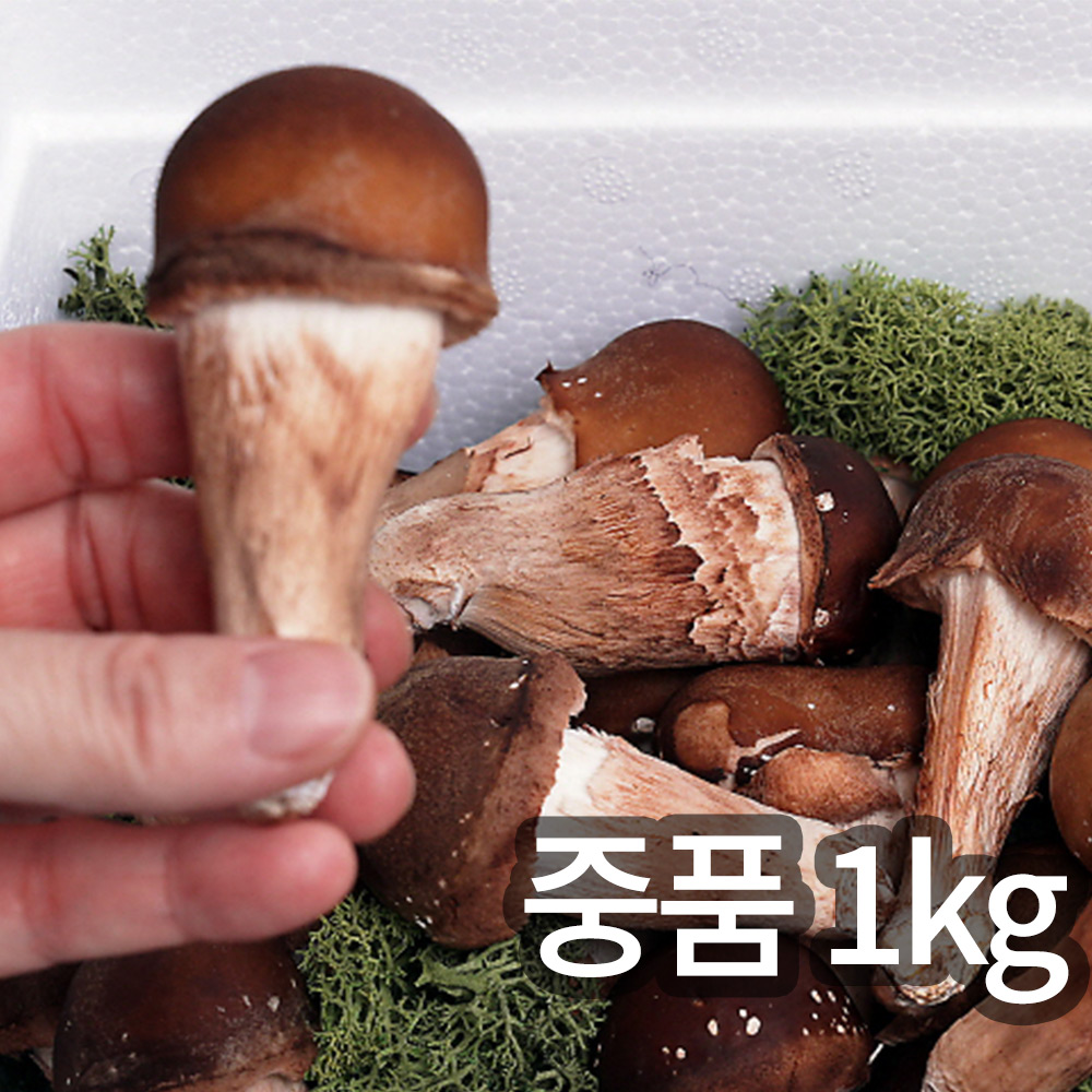 1745894690 thumbnail