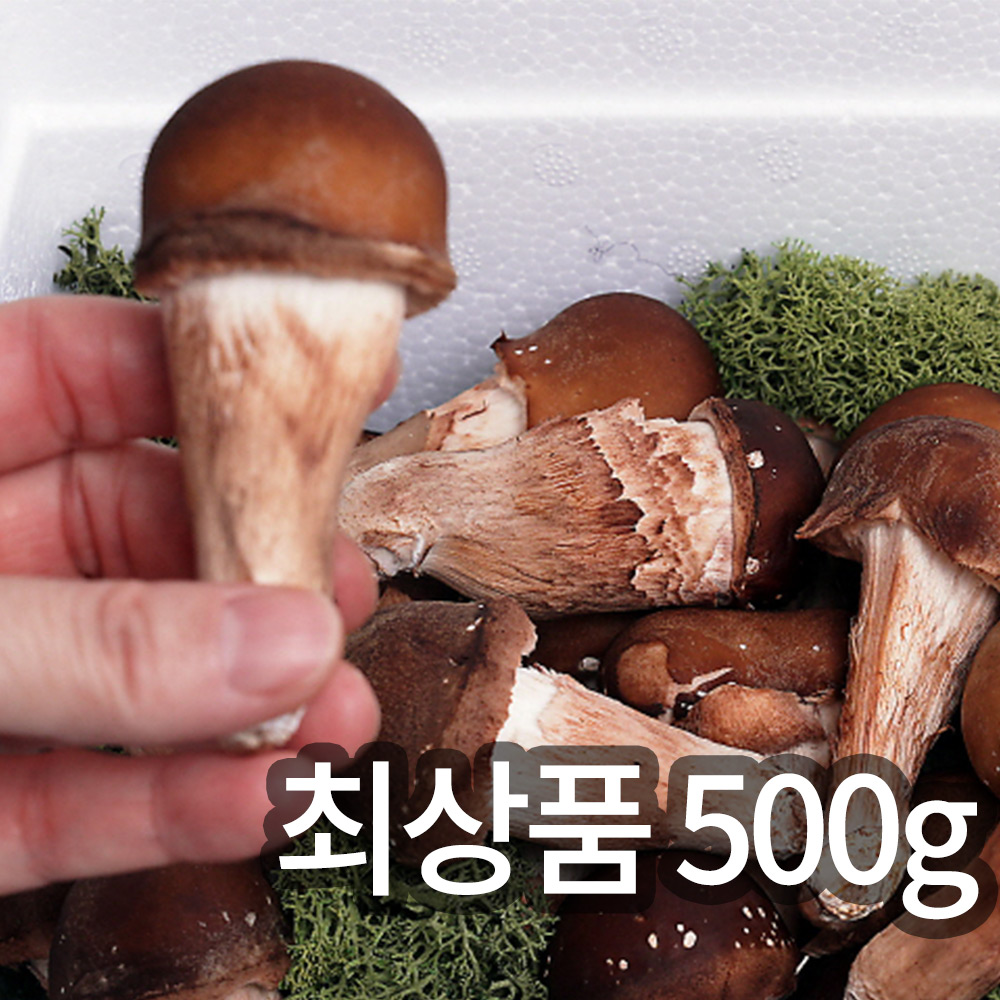 1745894691 thumbnail