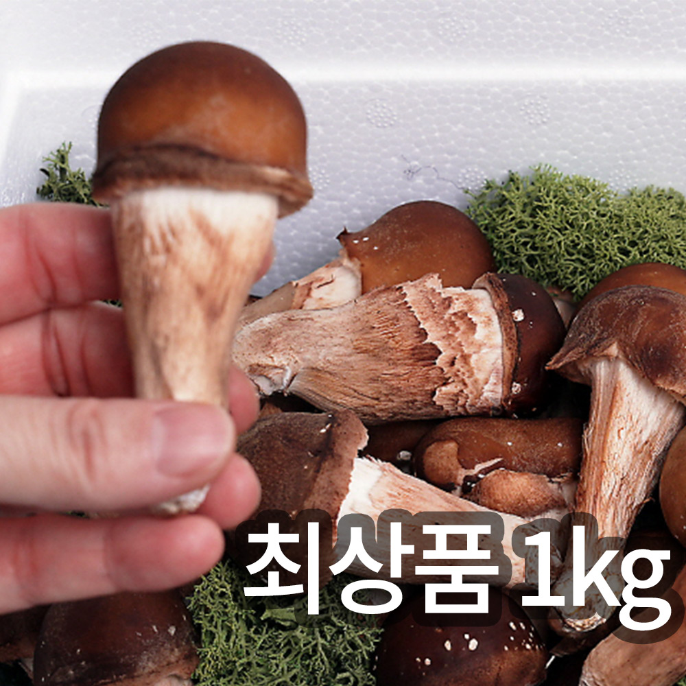 1745894692 thumbnail