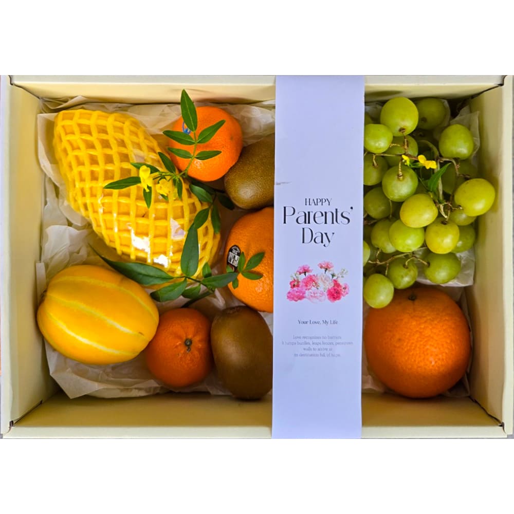 1746000587 thumbnail