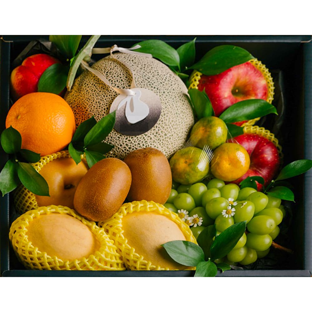 1746000590 thumbnail