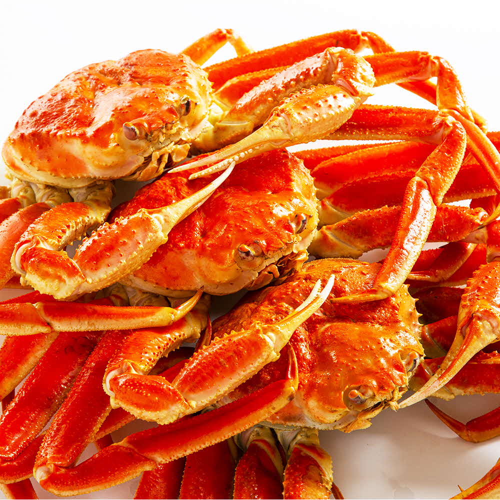 1746157102 thumbnail