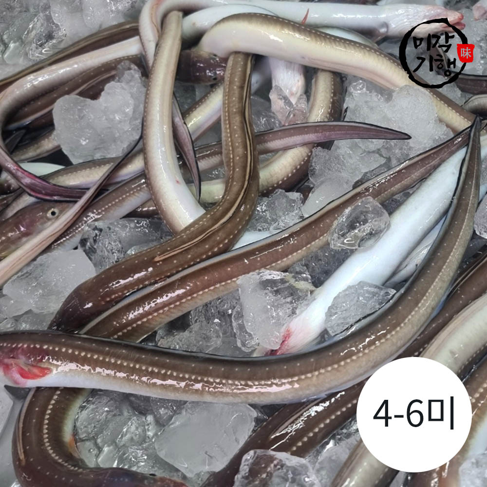 1746160483 thumbnail