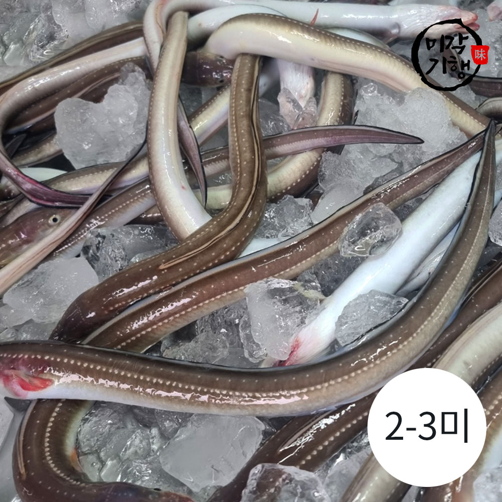 1746160484 thumbnail