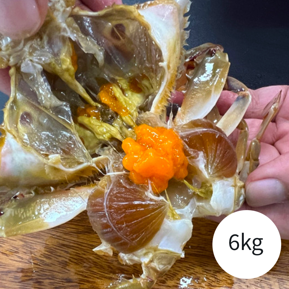 1746160486 thumbnail