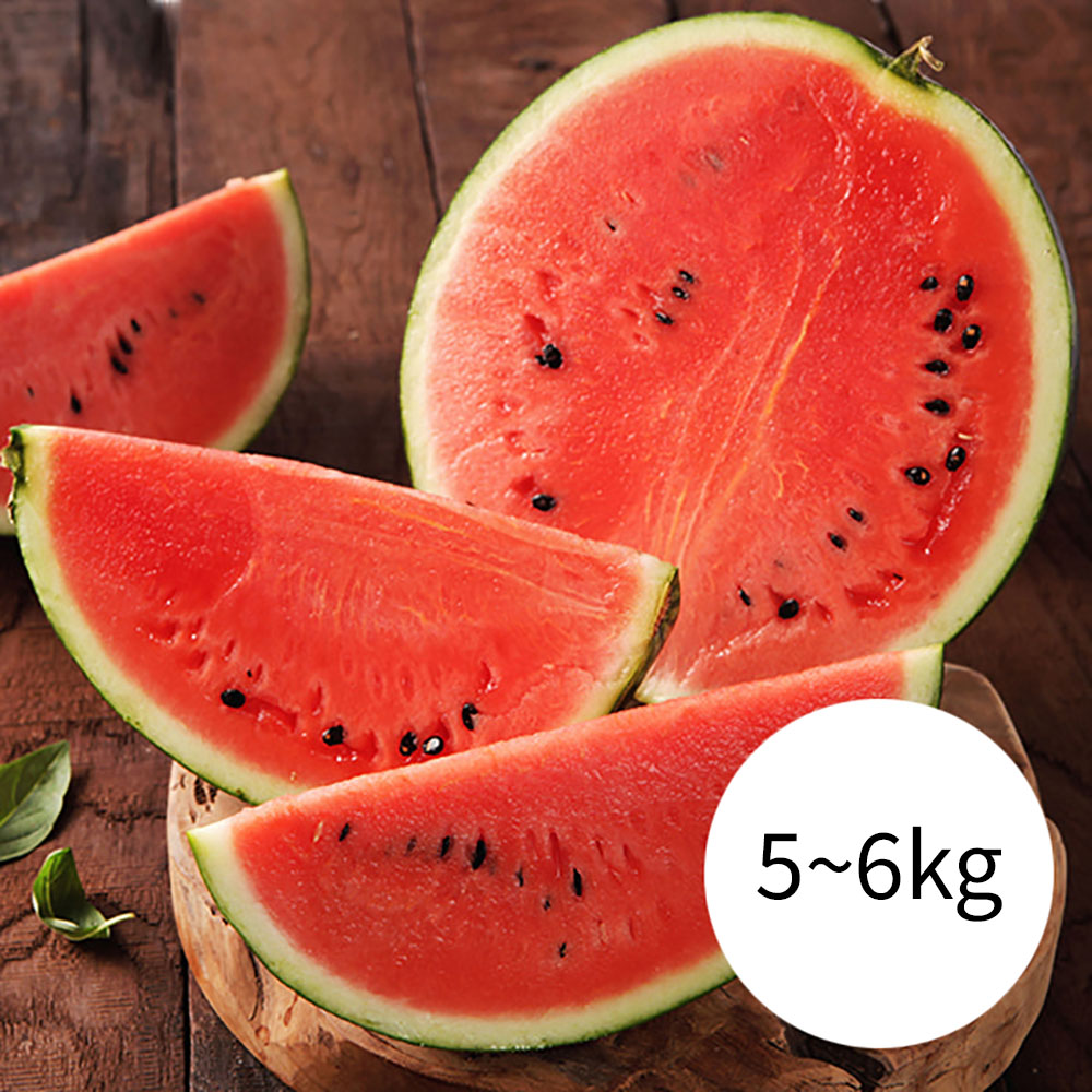 1746160497 thumbnail