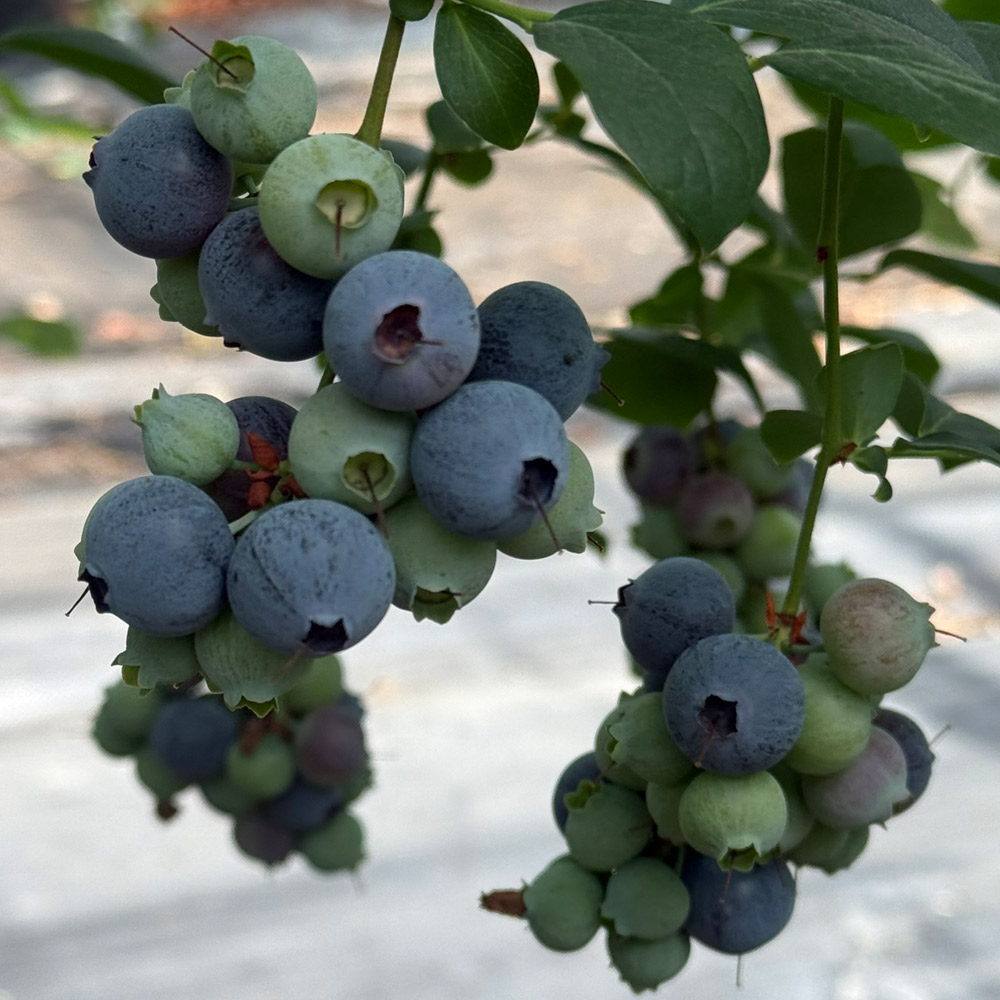 1746760131 thumbnail