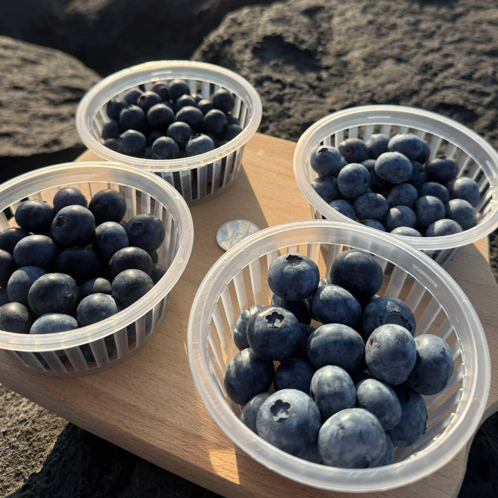 1746760132 thumbnail