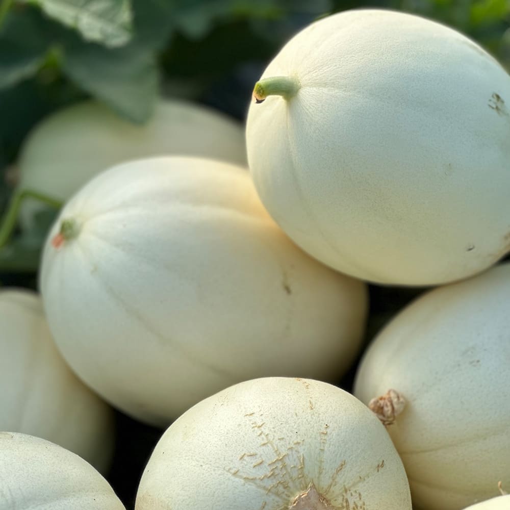 1746760134 thumbnail