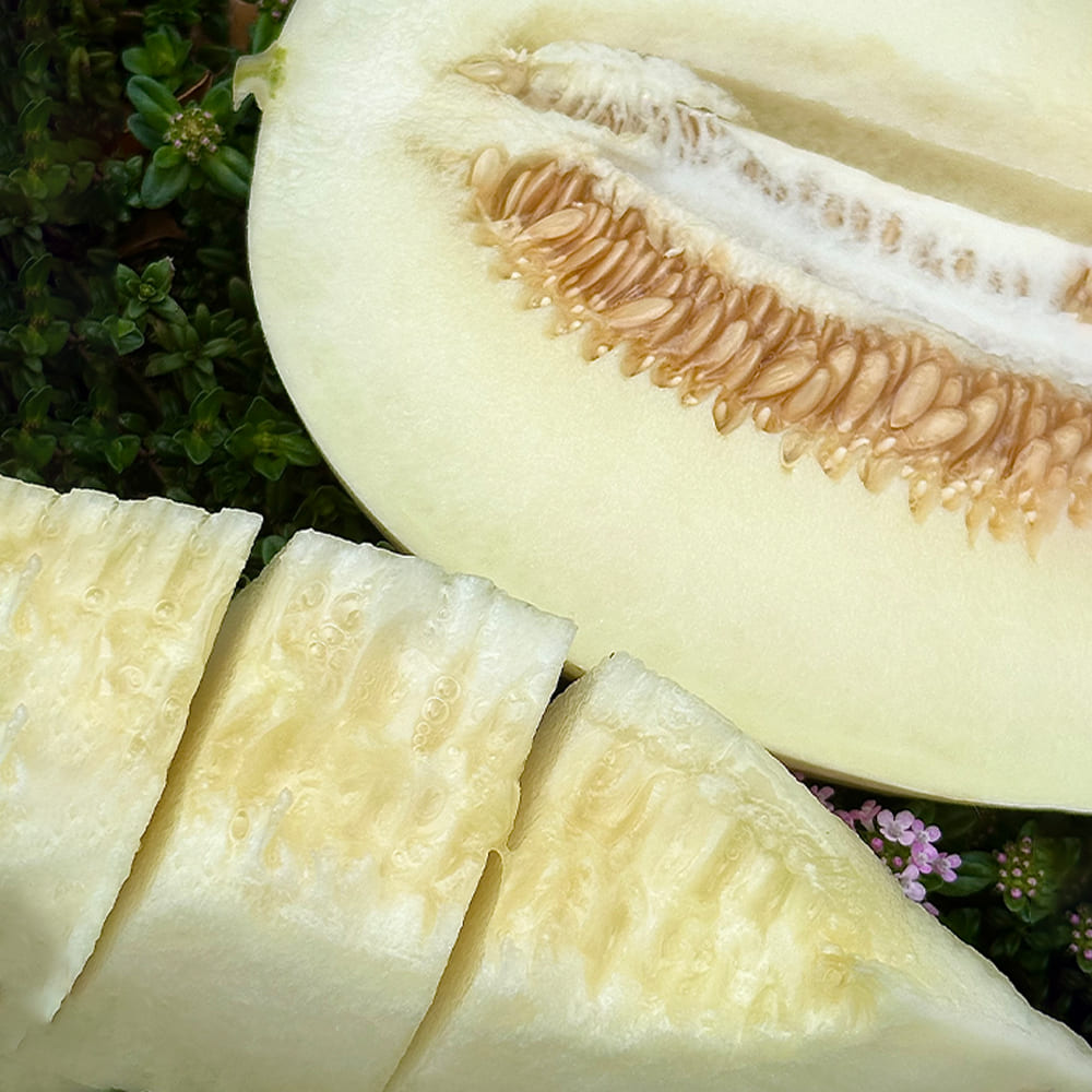 1746760135 thumbnail