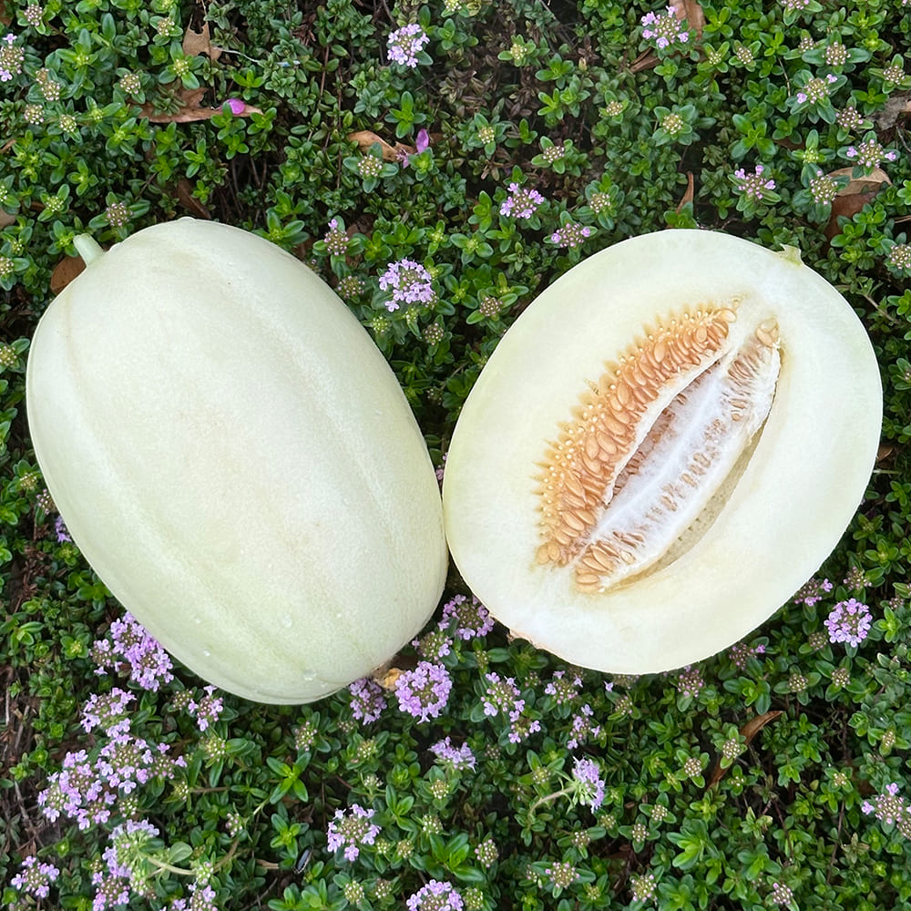 1746760136 thumbnail