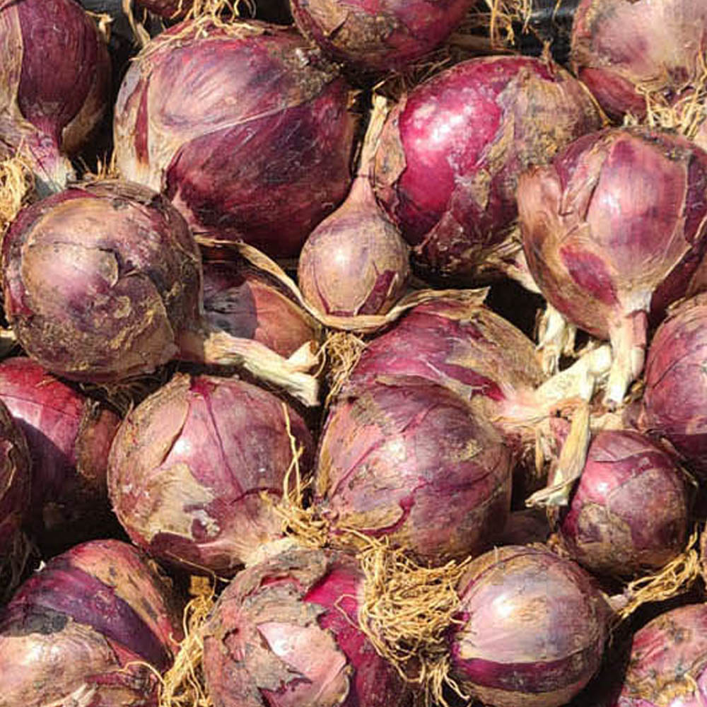 1747210995 thumbnail