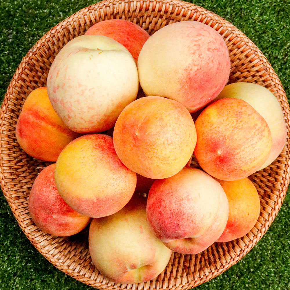 1747366083 thumbnail