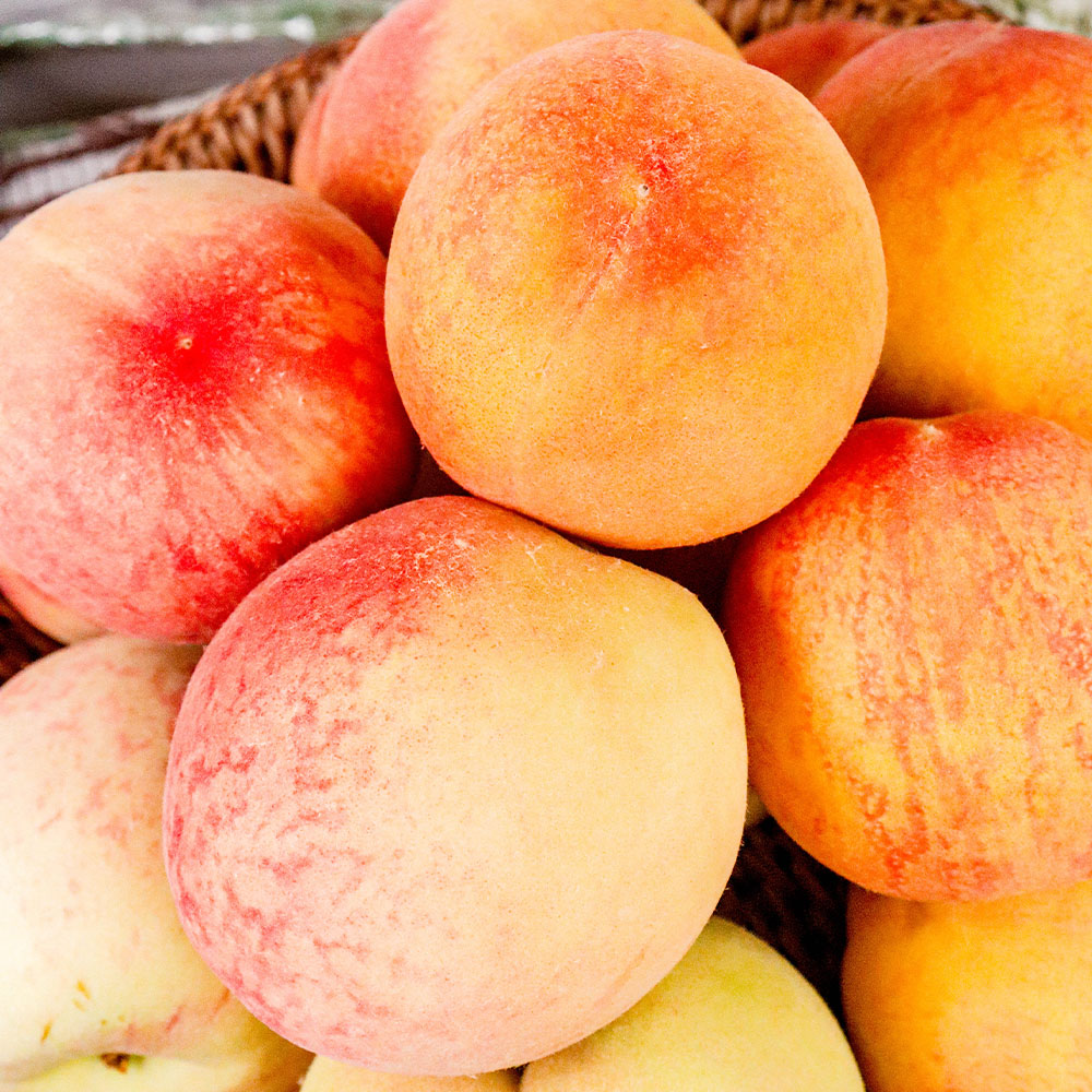 1747366084 thumbnail