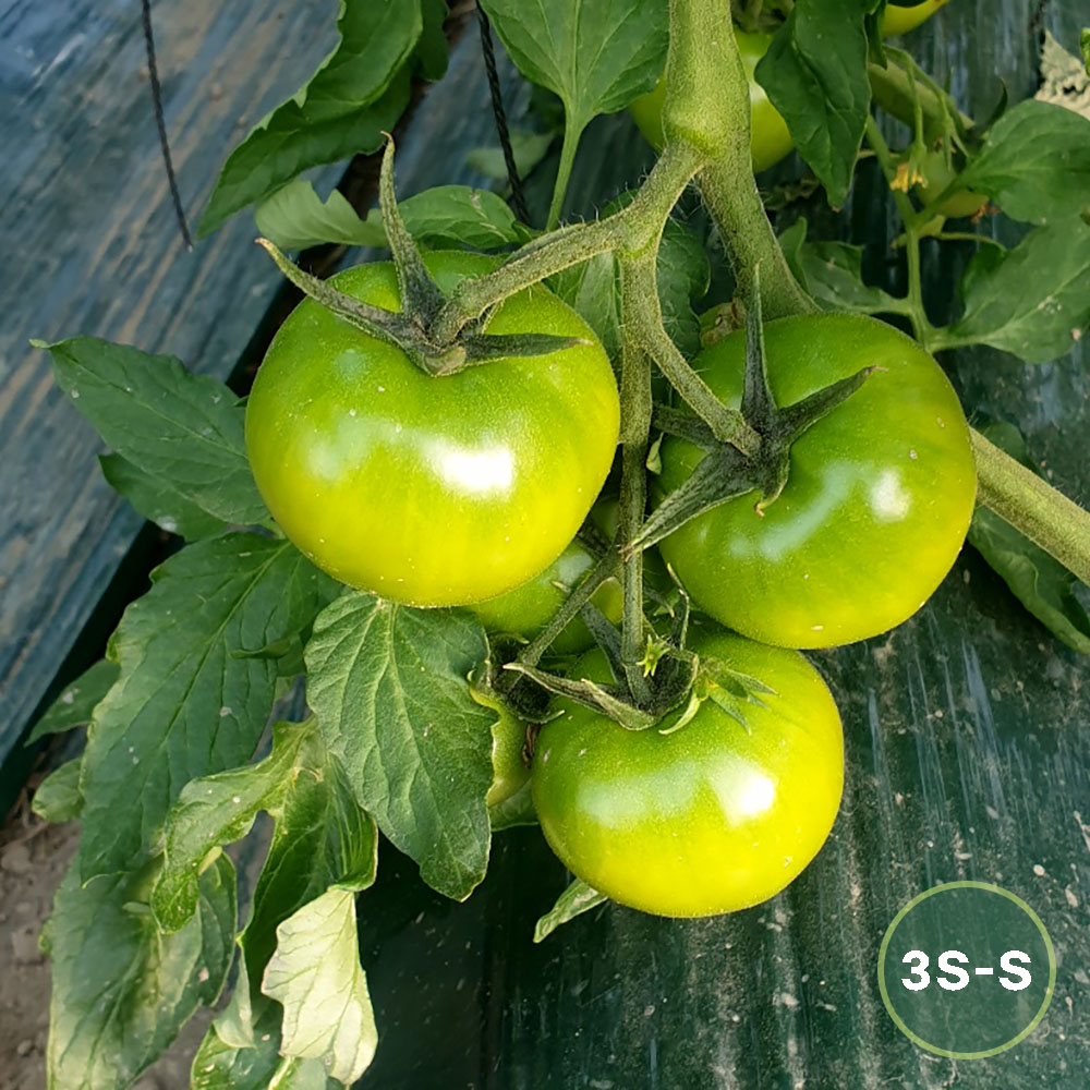 1747366089 thumbnail