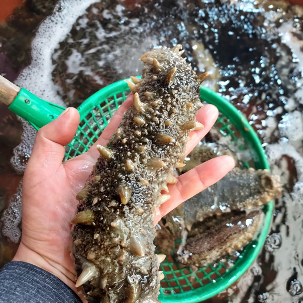 1747639527 thumbnail