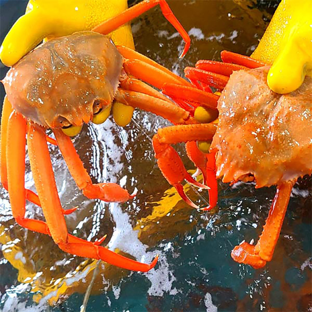 1747807557 thumbnail