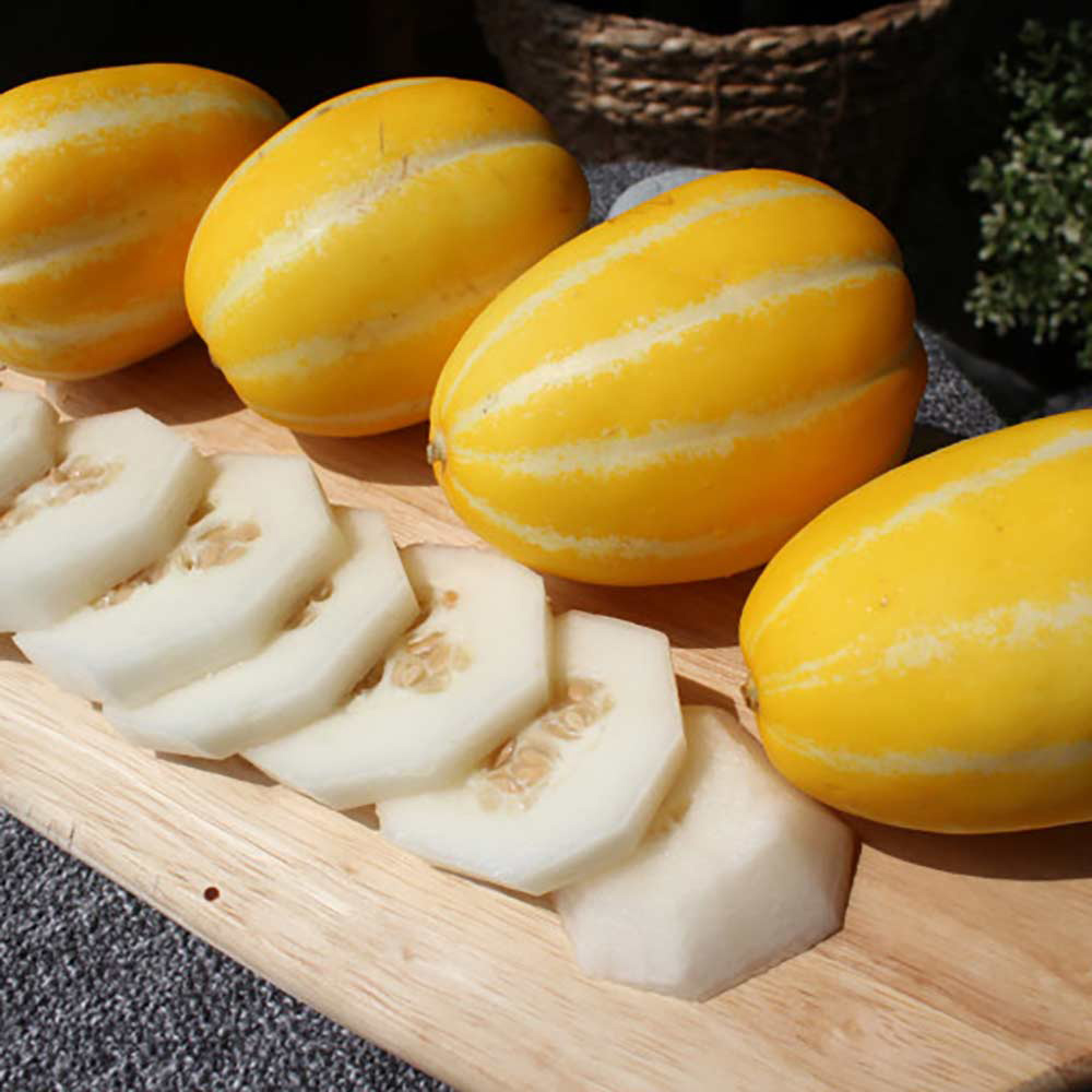 1747896318 thumbnail