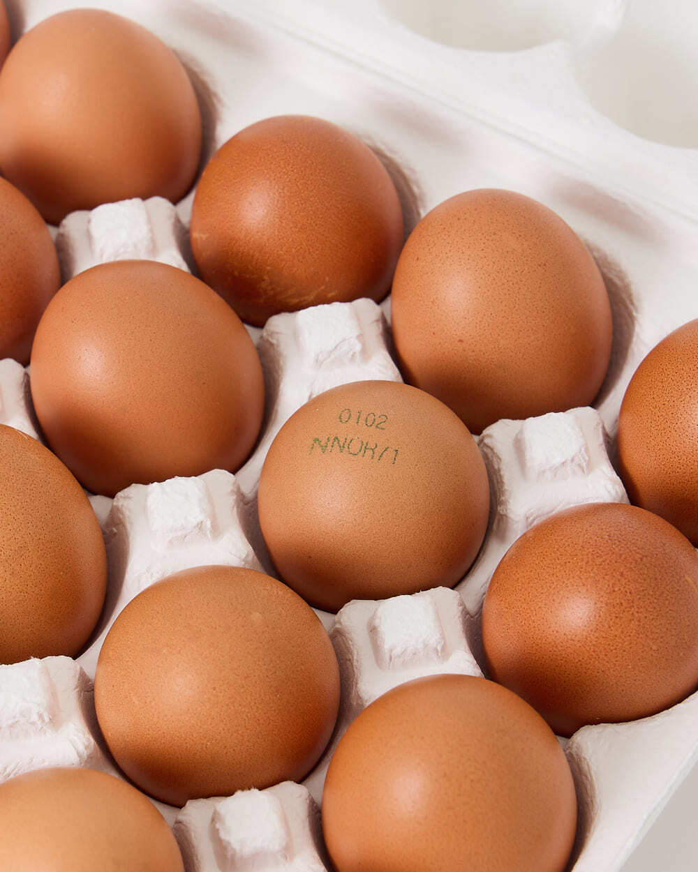 1747974737 thumbnail