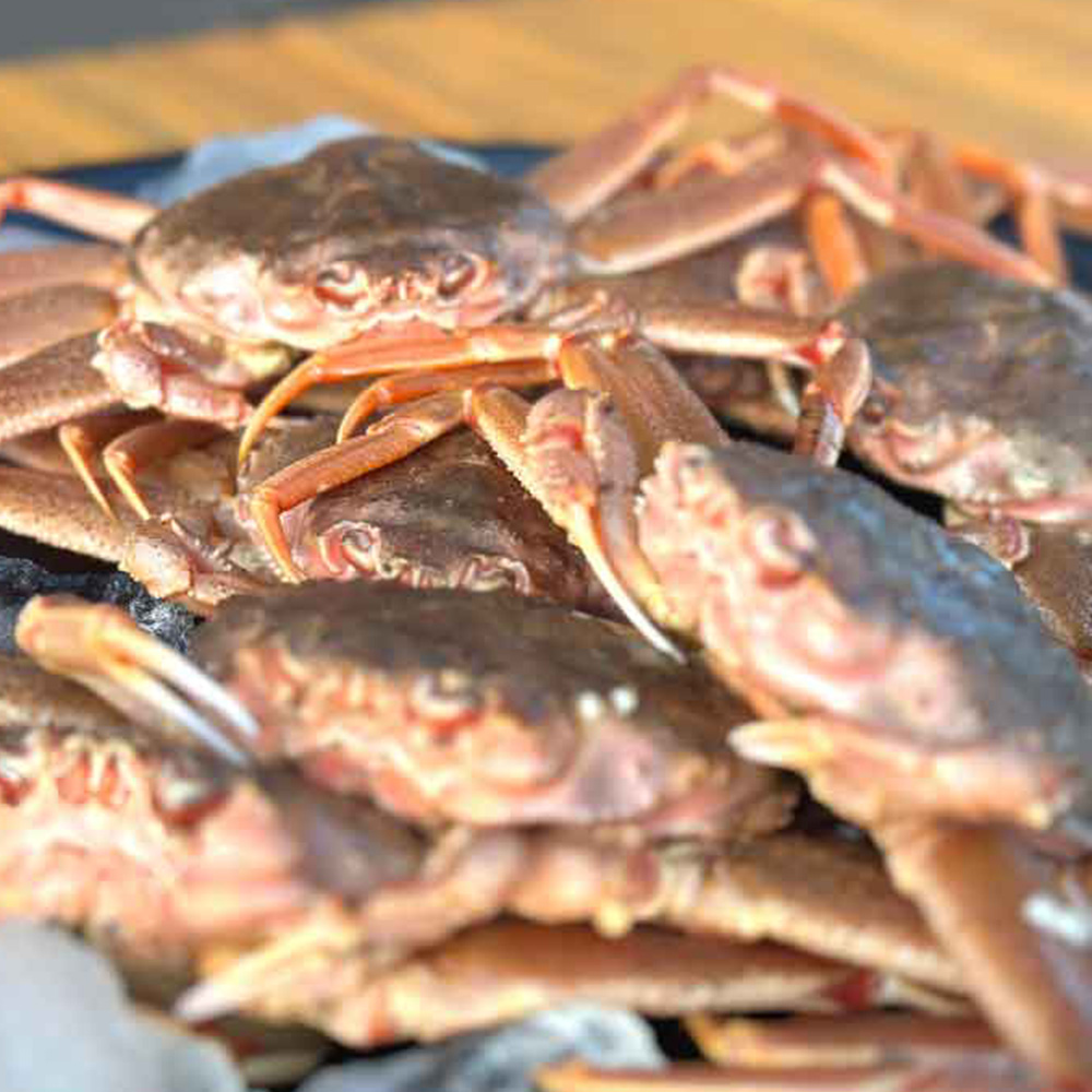 1748229606 thumbnail