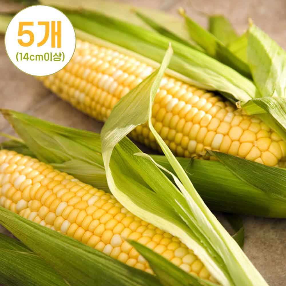 1748237797 thumbnail