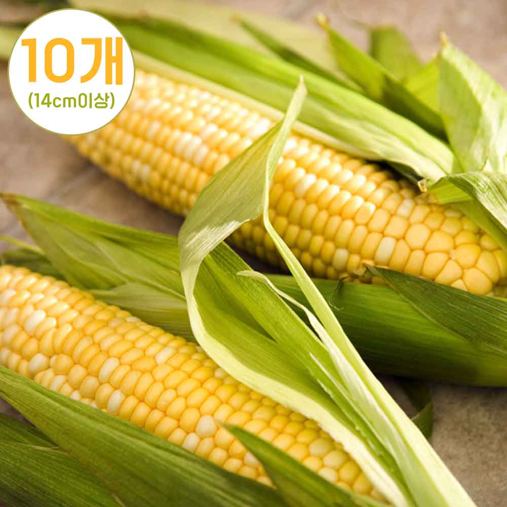 1748237798 thumbnail