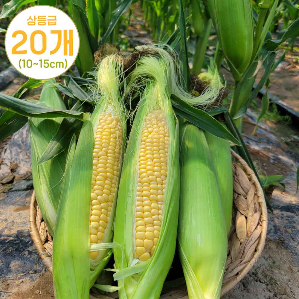 1748237844 thumbnail