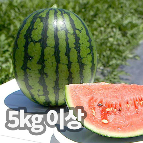 1748315908 thumbnail