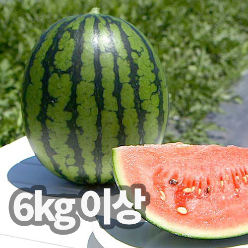 1748315909 thumbnail