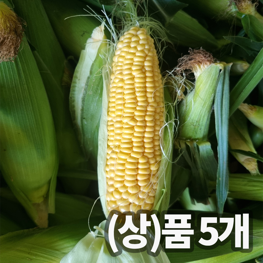 1748315910 thumbnail