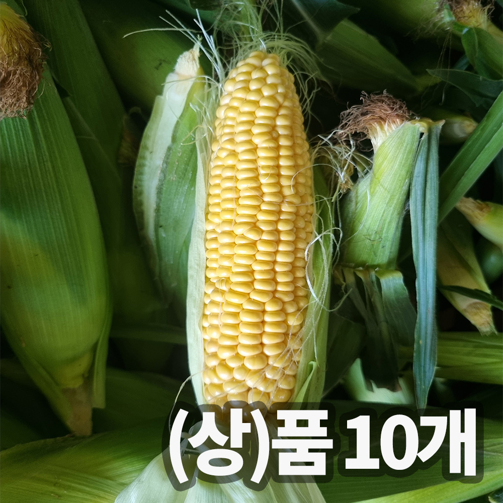 1748315911 thumbnail