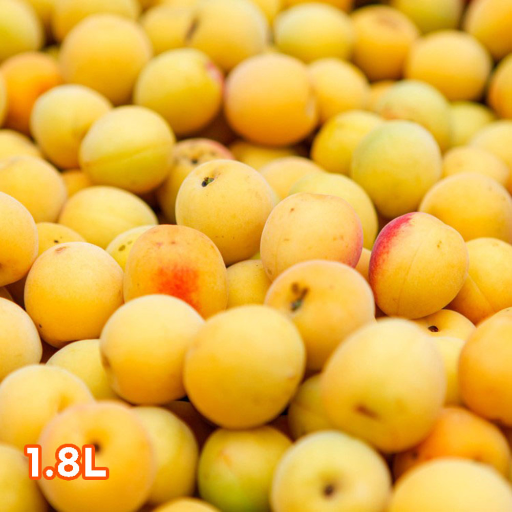 1748330852 thumbnail