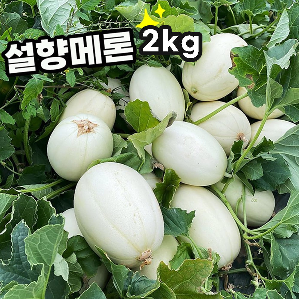 1748579123 thumbnail