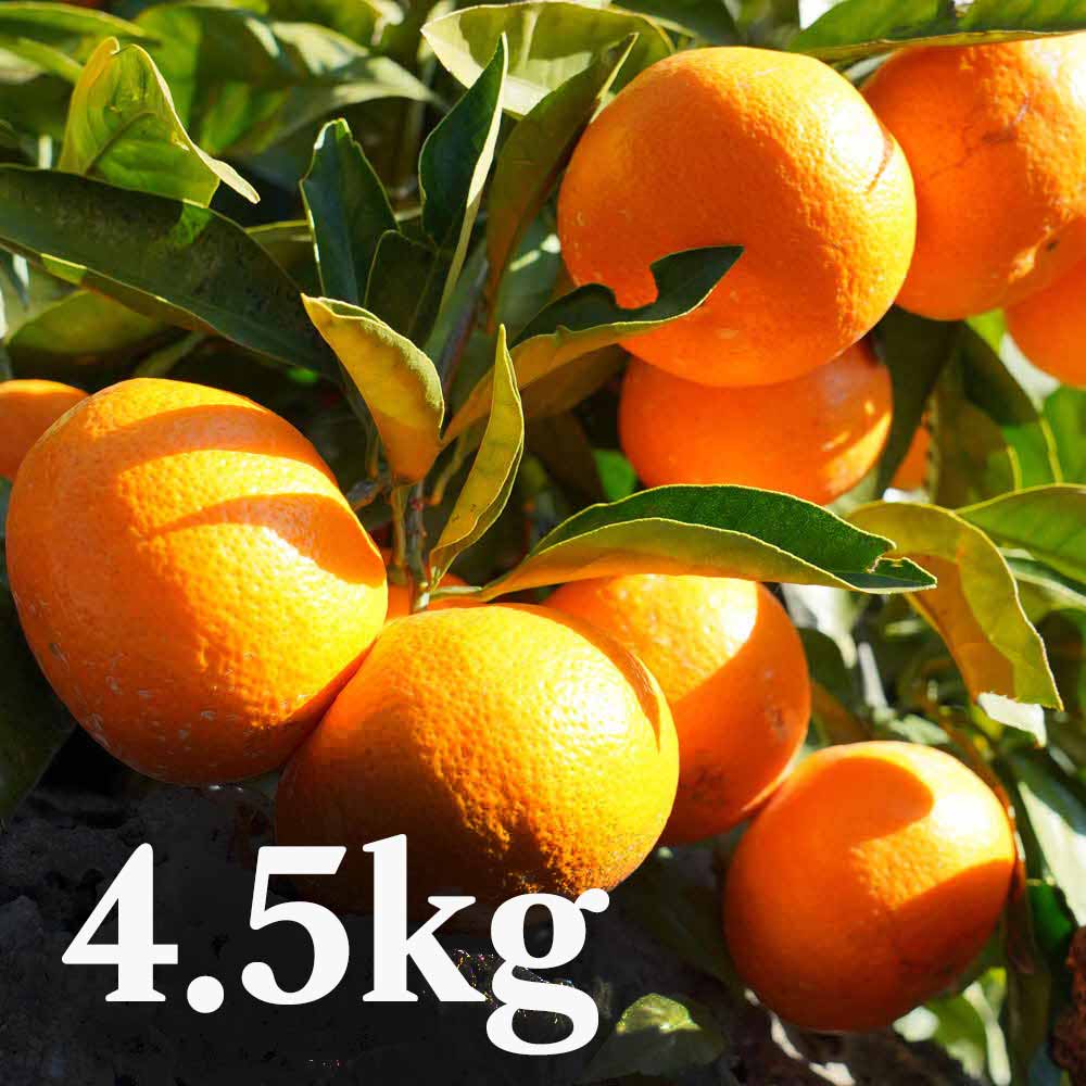 1749088548 thumbnail