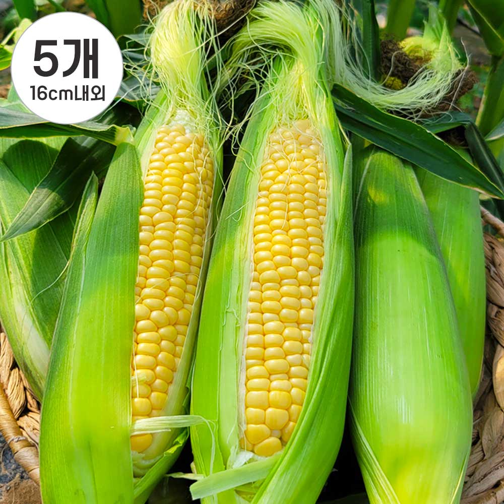 1749454309 thumbnail