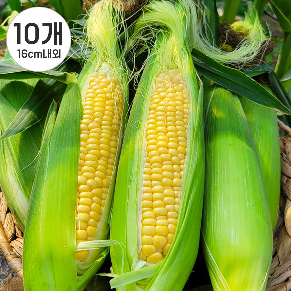 1749454310 thumbnail