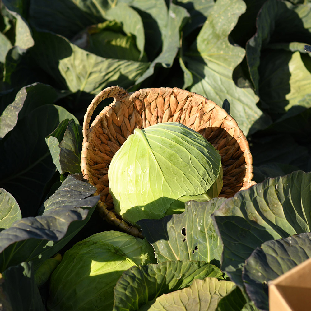 1749543369 thumbnail