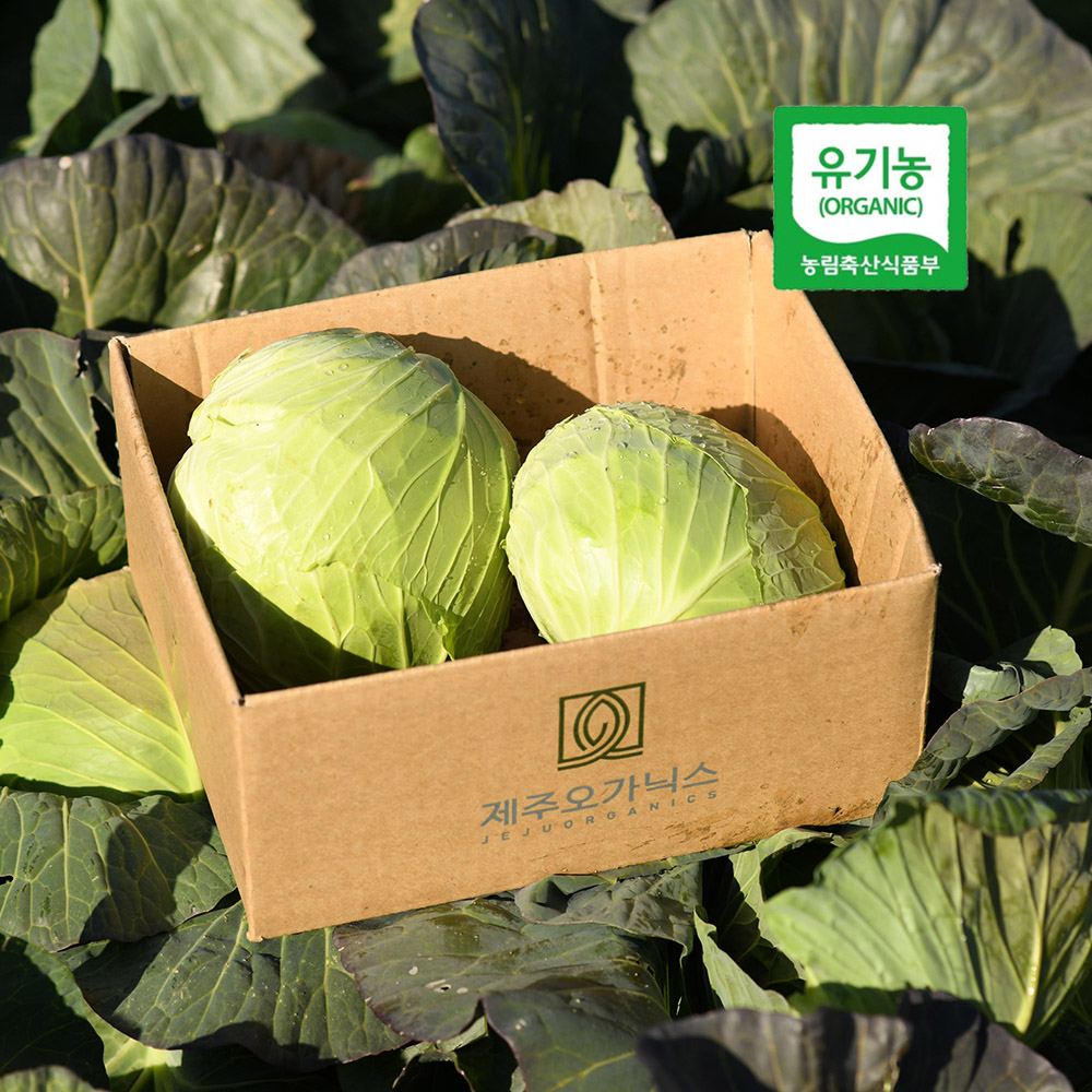 1749543370 thumbnail